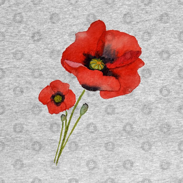 Watercolour Poppies by Kirsty Topps